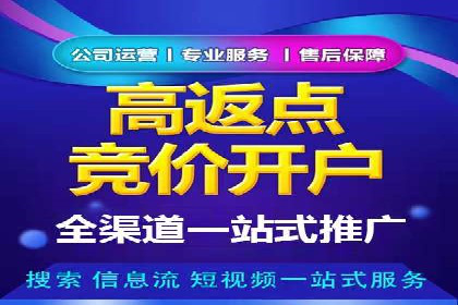 某品牌的信息流广告投放策略及效果展示